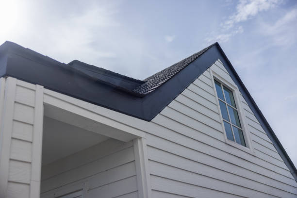 Best Custom Siding Design  in Romulus, MI